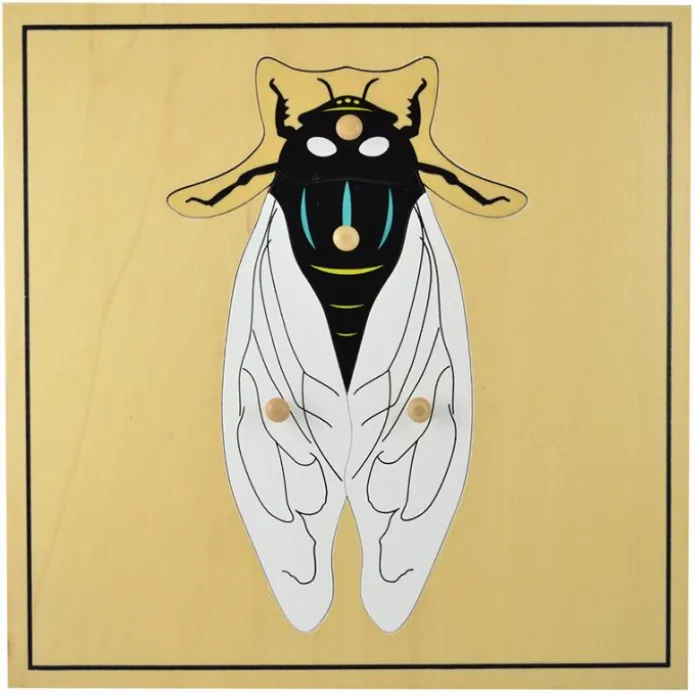 Puzle de madera mosca - Montessori