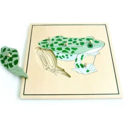 Puzle de madera rana esqueleto - Montessori
