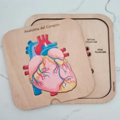 Puzle encajable de madera corazón cuerpo humano 6 piezas - Mameduka