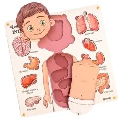Puzle encajable de madera órganos cuerpo humano y tarjetas didácticas - Ösbru