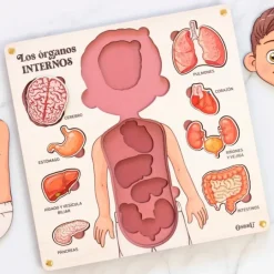 Puzle encajable de madera órganos cuerpo humano y tarjetas didácticas - Ösbru