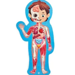 Puzle gigante cuerpo humano 50 piezas y 10 órganos de madera encajables - Hape