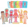Puzles magnéticos cuerpo humano con soporte y tarjetas - Hape
