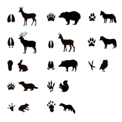 Rollo de 900 pegatinas Gomets Huellas animales - Apli