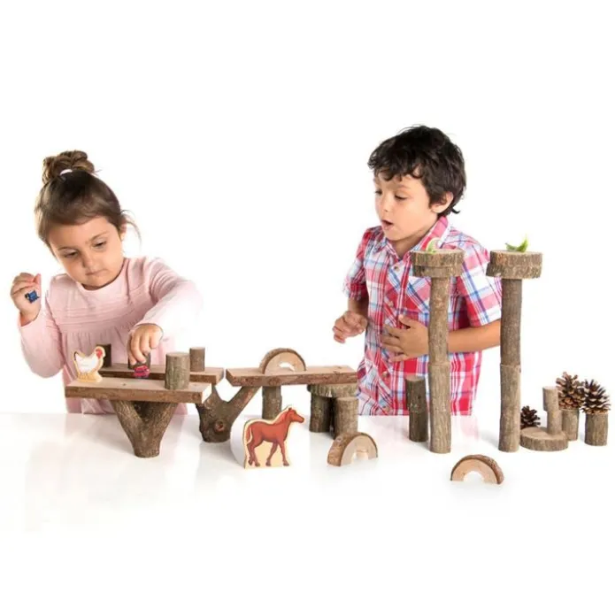 Set de 36 bloques de madera Branch Blocks - Guidecraft