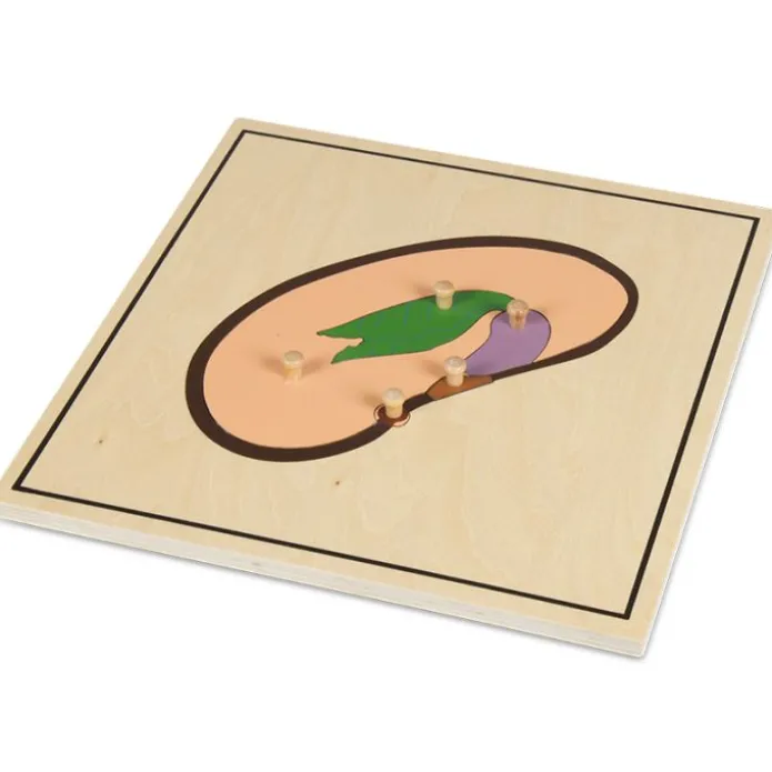 Set 4 puzles madera proceso de la semilla - Montessori