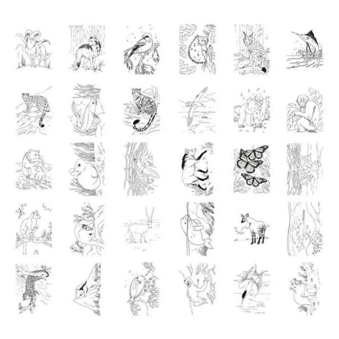 Tableta o pizarra de dibujo con luz Kidydraw Pad Animales - Kidywolf