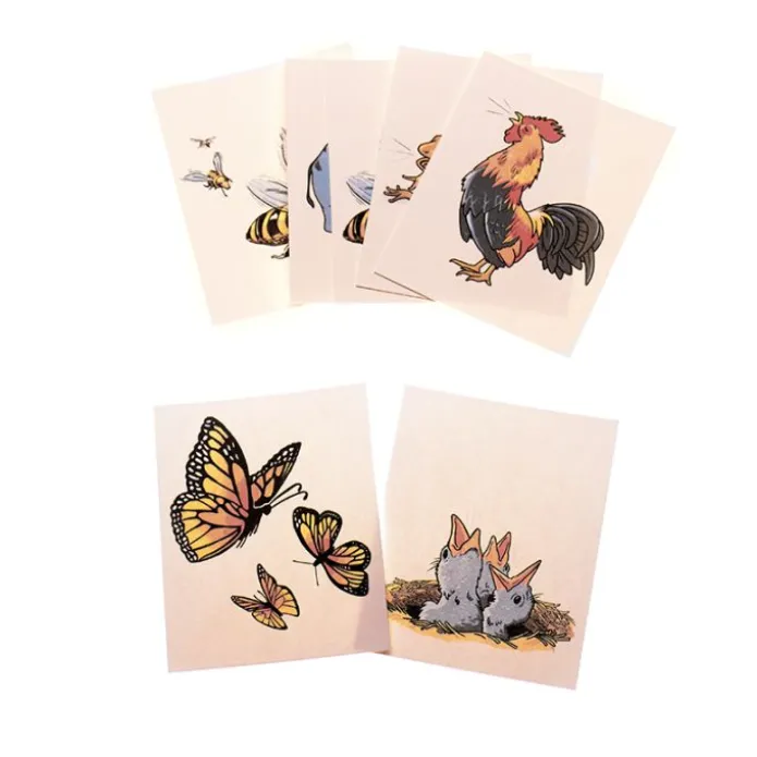 Tarjetas de asociación a dinámicas (8) - Serclet