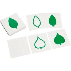 Tarjetas de hojas para el gabinete botánico de 24 inserciones - Montessori