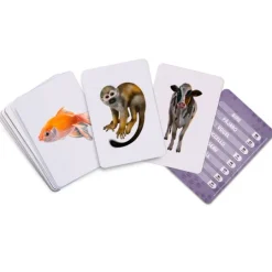 Tarjetas 8 idiomas Mis primeras palabras multilingües: animales (32) - Emeteca Kids