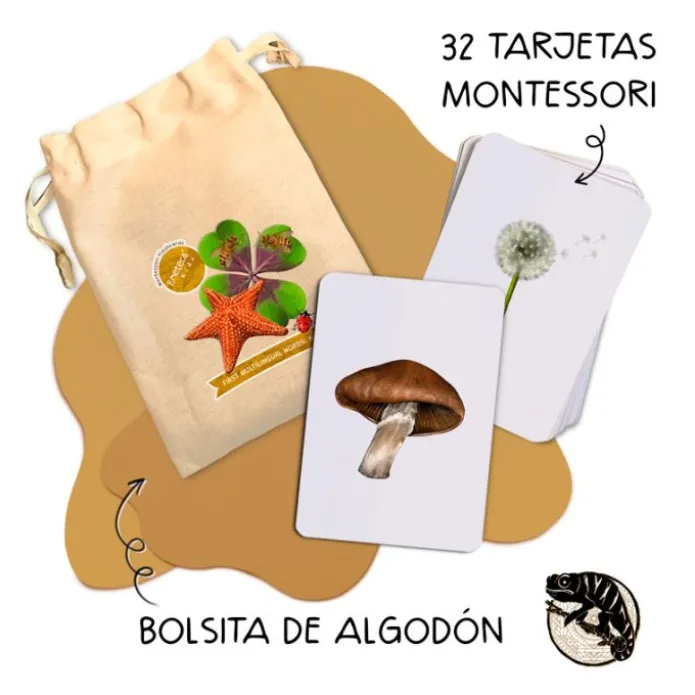 Tarjetas 8 idiomas Mis primeras palabras multilingües: naturaleza (32) - Emeteca Kids