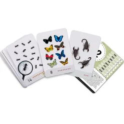 Tarjetas 8 idiomas Primeros números: Insectos y otros seres diminutos (30) - Emeteca Kids
