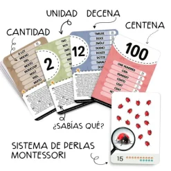 Tarjetas 8 idiomas Primeros números: Insectos y otros seres diminutos (30) - Emeteca Kids