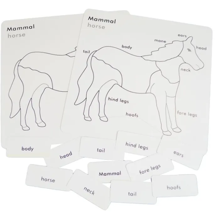 Tarjetas para puzles de animales con caja de madera - Montessori