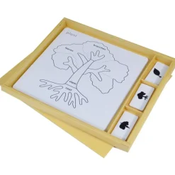 Tarjetas para puzles de botánica con caja de madera - Montessori