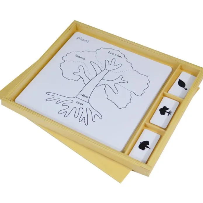 Tarjetas para puzles de botánica con caja de madera - Montessori