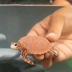 Tortuga Carey - Schleich