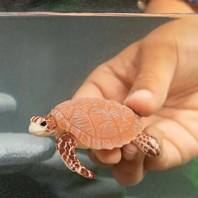 Tortuga Carey - Schleich