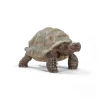 Tortuga - Schleich