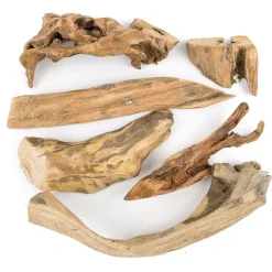 Trozos de madera natural pulida 500 g - Deukaliptus