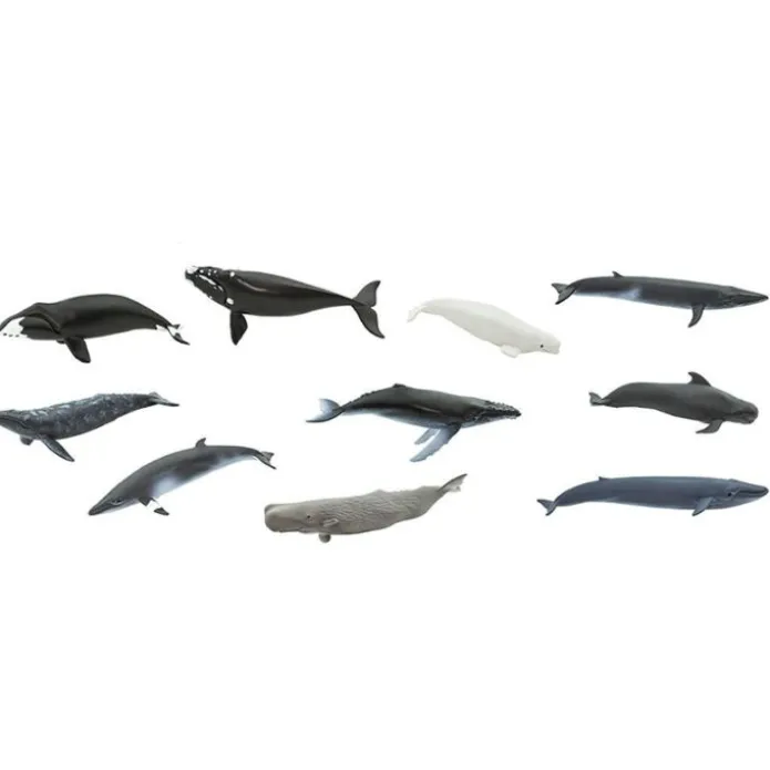Tubo 10 piezas ballenas - Safari