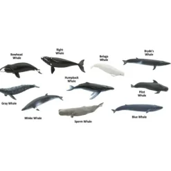 Tubo 10 piezas ballenas - Safari