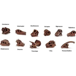 Tubo 11 piezas cráneos de dinosaurio - Safari