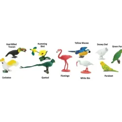 Tubo 11 piezas de aves exóticas - Safari